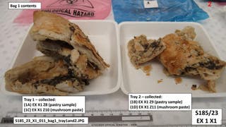 Samples of a meal of beef Wellington peppered with toxic mushrooms that was prepared by Patterson